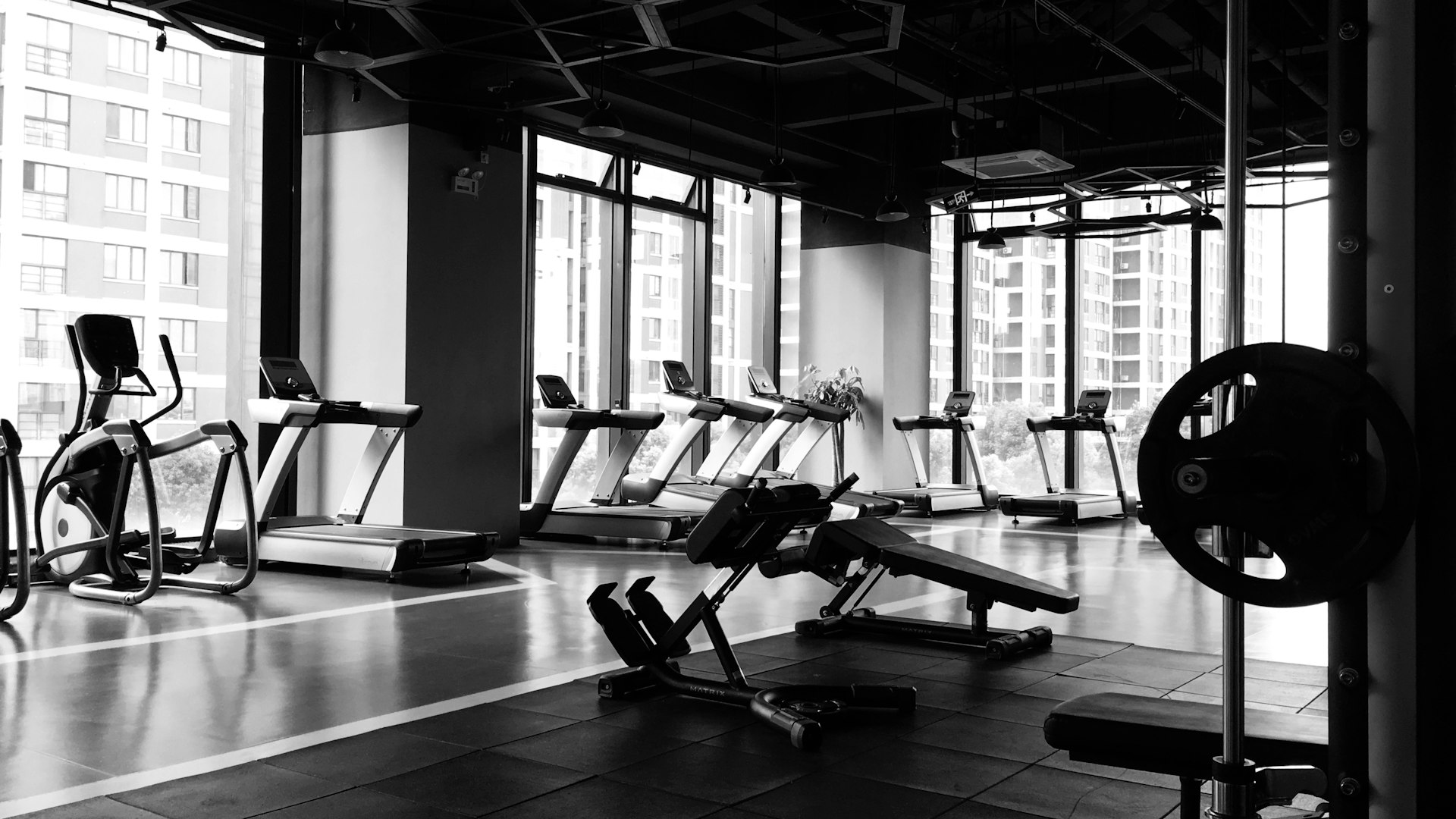 Modern gym equipment and weights